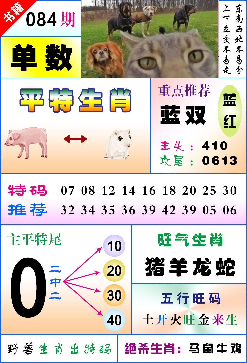 084期澳门风水平特[图]